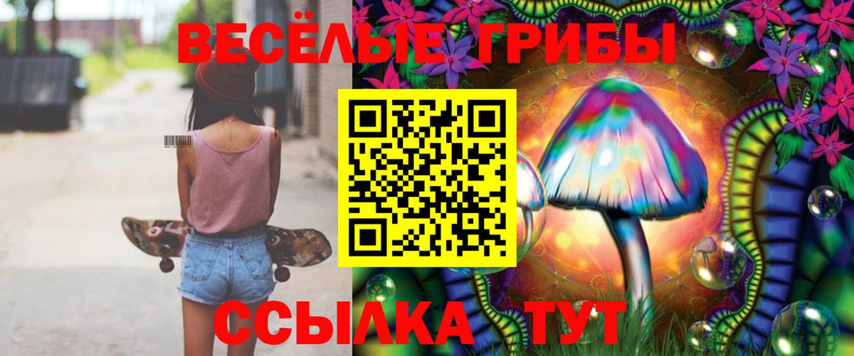 Галлюциногенные грибы Psilocybine cubensis  Вход с VPN  Галлюциногенные грибы MAGIC MUSHROOMS  Озёрск 